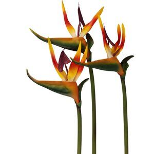 Artificial Bird of Paradise Flowers Set of 3 | Tropical Faux Floral Stems | Exot